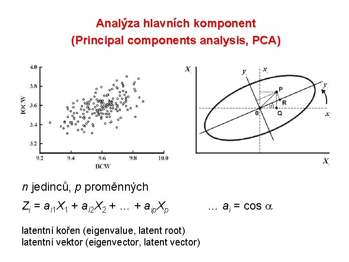 Analýza hlavních komponent (Principal components analysis, PCA) n jedinců, p proměnných Zi = ai