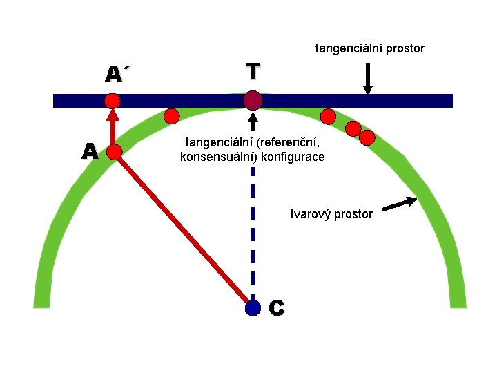 A´ A tangenciální prostor T tangenciální (referenční, konsensuální) konfigurace tvarový prostor C 