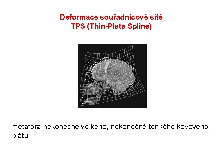 Deformace souřadnicové sítě TPS (Thin-Plate Spline) metafora nekonečně velkého, nekonečně tenkého kovového plátu 