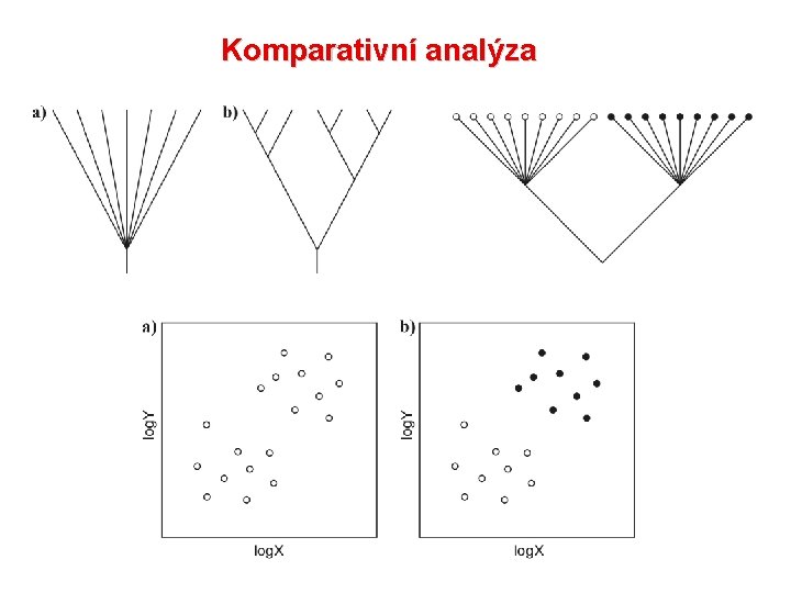 Komparativní analýza 