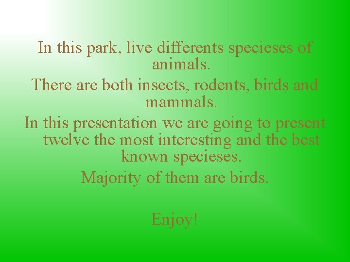 In this park, live differents specieses of animals. There are both insects, rodents, birds