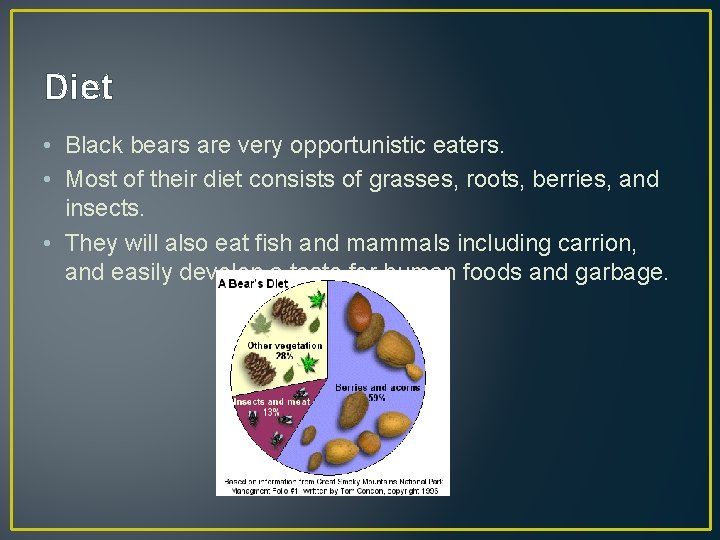 Diet • Black bears are very opportunistic eaters. • Most of their diet consists