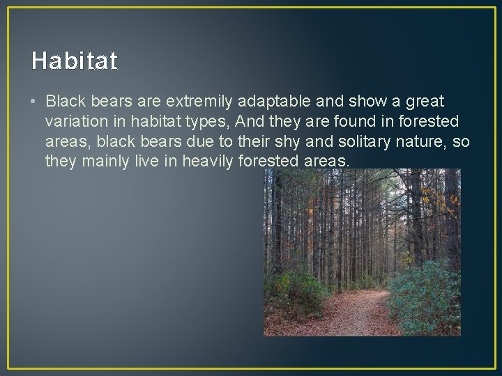 Habitat • Black bears are extremily adaptable and show a great variation in habitat