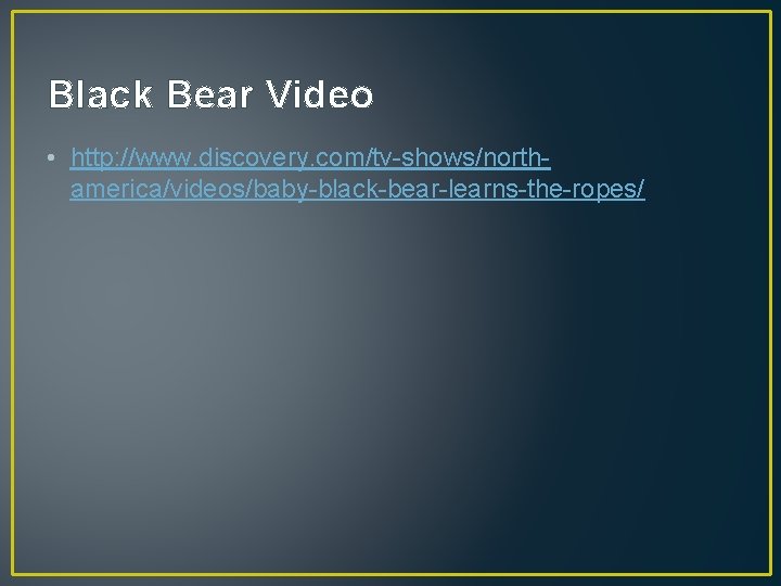 Black Bear Video • http: //www. discovery. com/tv-shows/northamerica/videos/baby-black-bear-learns-the-ropes/ 