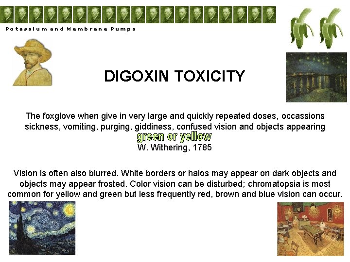 Potassium and Membrane Pumps DIGOXIN TOXICITY The foxglove when give in very large and