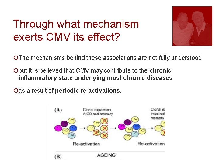 Through what mechanism exerts CMV its effect? ¡The mechanisms behind these associations are not