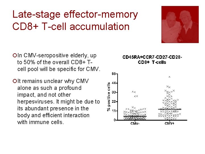 Late-stage effector-memory CD 8+ T-cell accumulation ¡In CMV-seropositive elderly, up to 50% of the