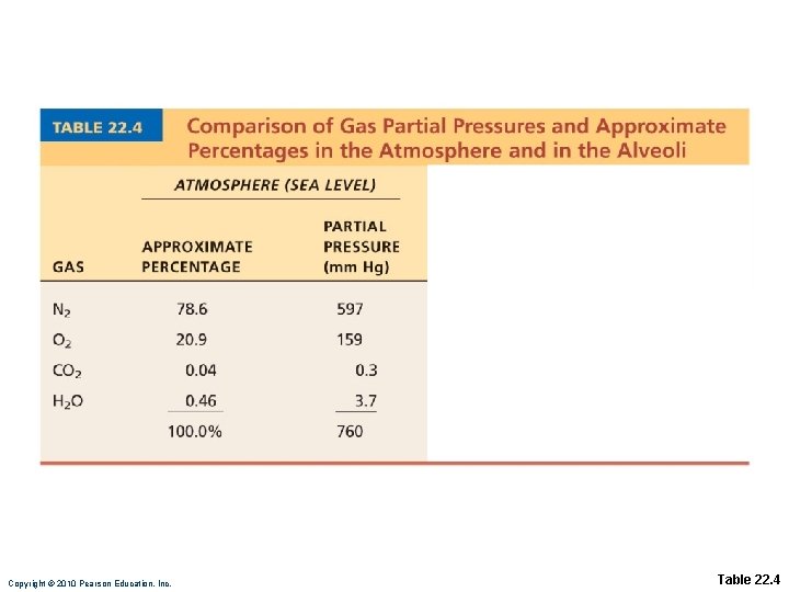 Copyright © 2010 Pearson Education, Inc. Table 22. 4 