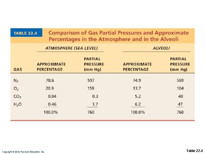 Copyright © 2010 Pearson Education, Inc. Table 22. 4 