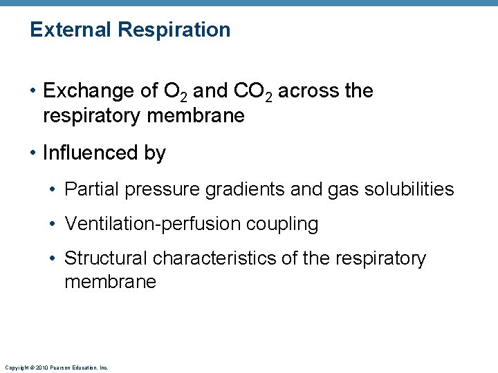 External Respiration • Exchange of O 2 and CO 2 across the respiratory membrane