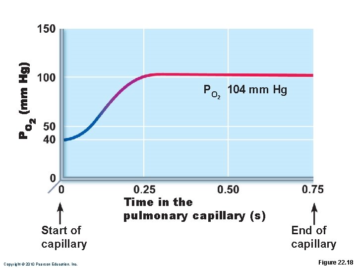 PO 104 mm Hg 2 Time in the pulmonary capillary (s) Start of capillary