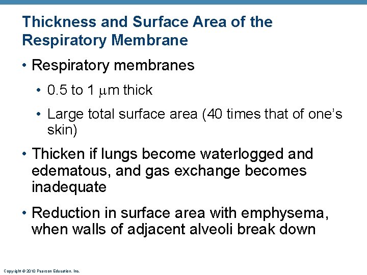 Thickness and Surface Area of the Respiratory Membrane • Respiratory membranes • 0. 5