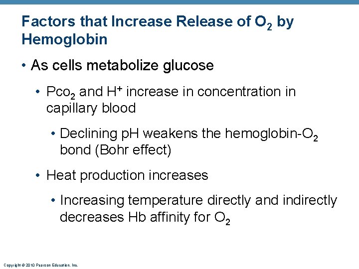 Factors that Increase Release of O 2 by Hemoglobin • As cells metabolize glucose