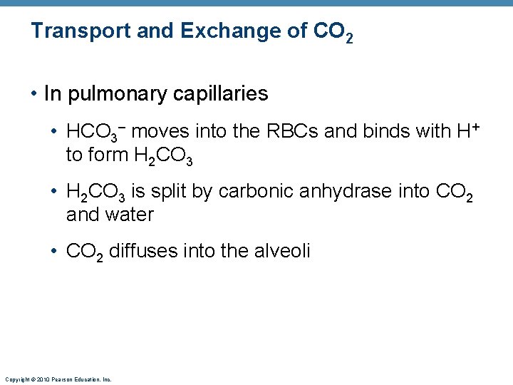 Transport and Exchange of CO 2 • In pulmonary capillaries • HCO 3– moves