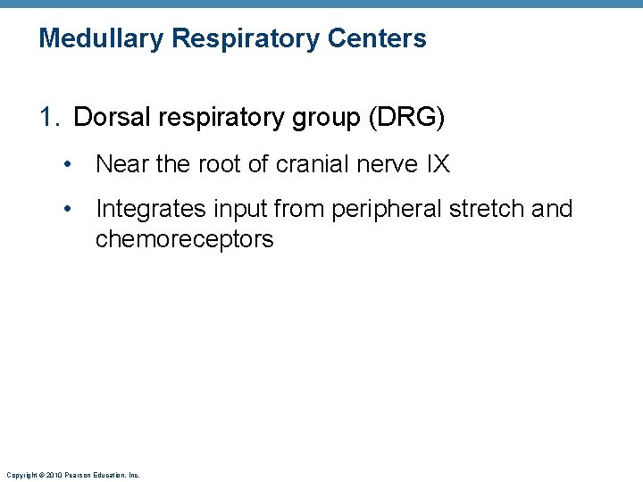 Medullary Respiratory Centers 1. Dorsal respiratory group (DRG) • Near the root of cranial