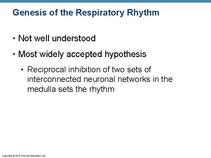 Genesis of the Respiratory Rhythm • Not well understood • Most widely accepted hypothesis