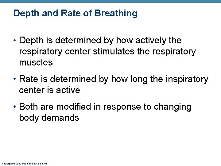 Depth and Rate of Breathing • Depth is determined by how actively the respiratory