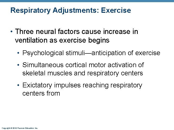 Respiratory Adjustments: Exercise • Three neural factors cause increase in ventilation as exercise begins