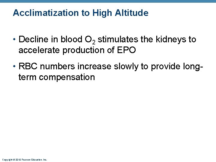 Acclimatization to High Altitude • Decline in blood O 2 stimulates the kidneys to