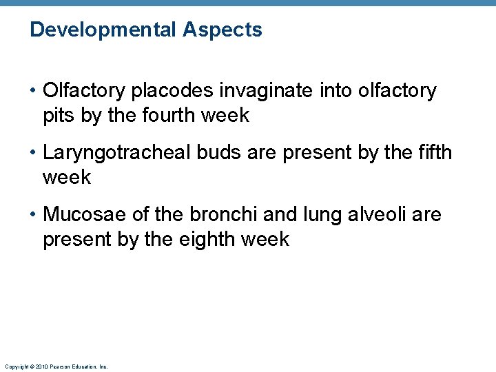 Developmental Aspects • Olfactory placodes invaginate into olfactory pits by the fourth week •