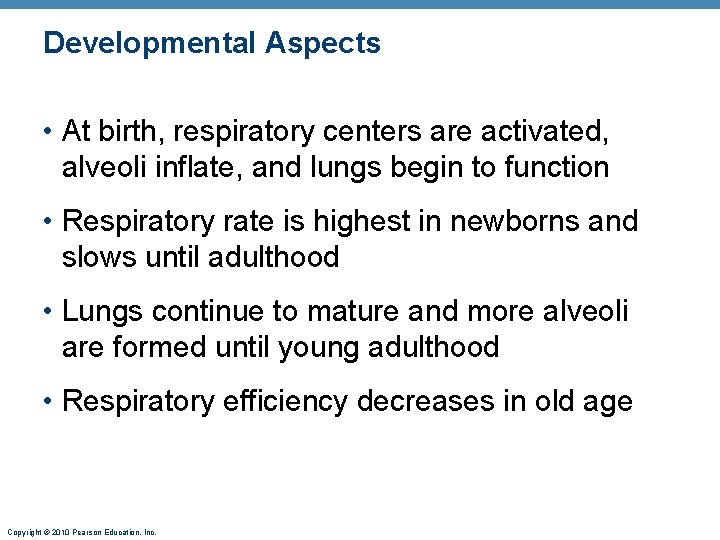 Developmental Aspects • At birth, respiratory centers are activated, alveoli inflate, and lungs begin
