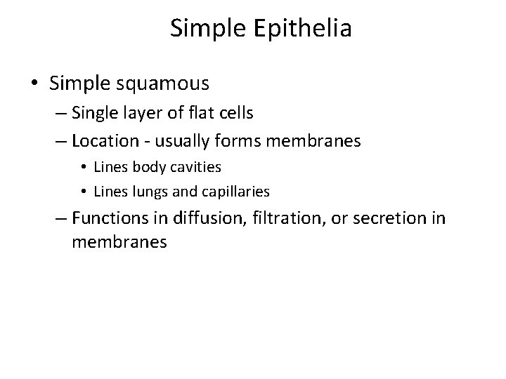 Simple Epithelia • Simple squamous – Single layer of flat cells – Location -