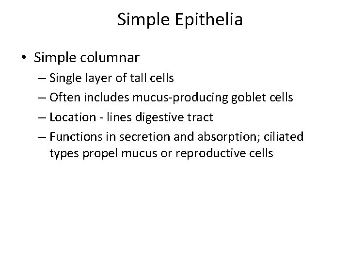 Simple Epithelia • Simple columnar – Single layer of tall cells – Often includes