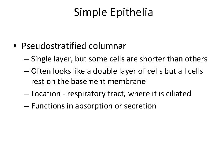 Simple Epithelia • Pseudostratified columnar – Single layer, but some cells are shorter than