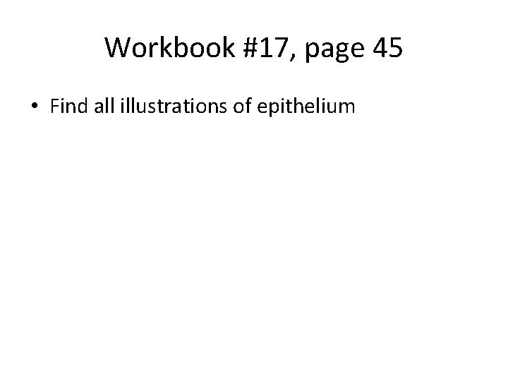 Workbook #17, page 45 • Find all illustrations of epithelium 