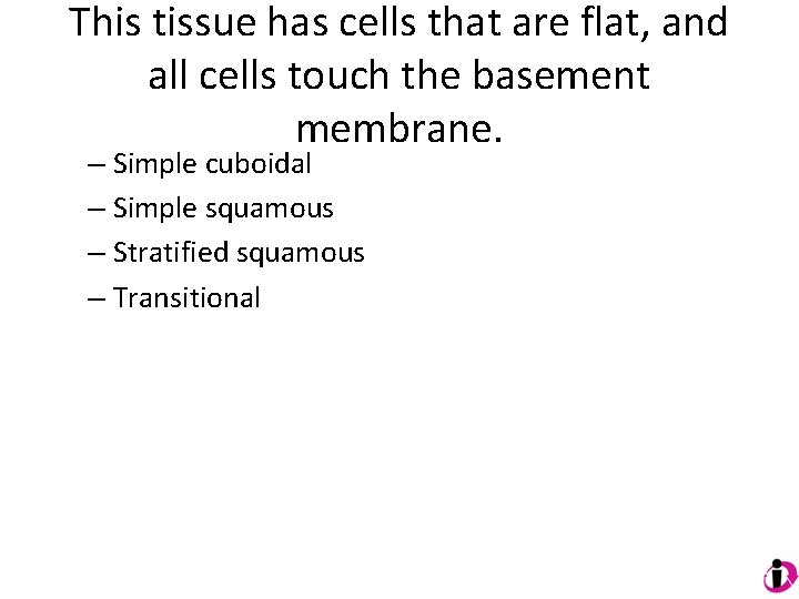 This tissue has cells that are flat, and all cells touch the basement membrane.