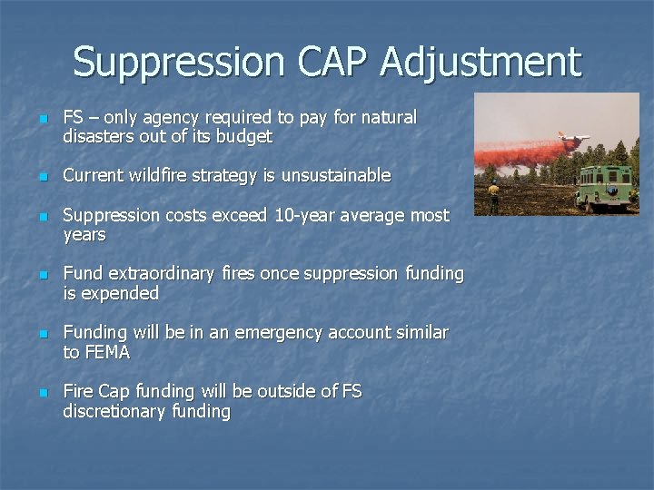 Suppression CAP Adjustment n n n FS – only agency required to pay for