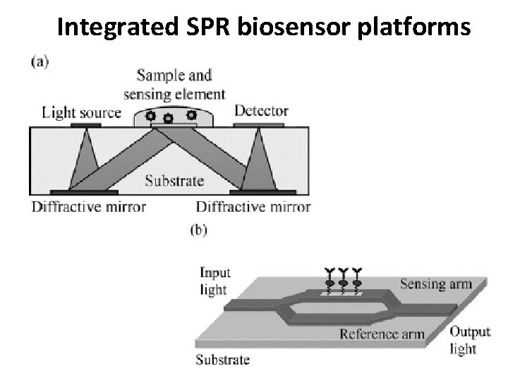 Integrated SPR biosensor platforms 