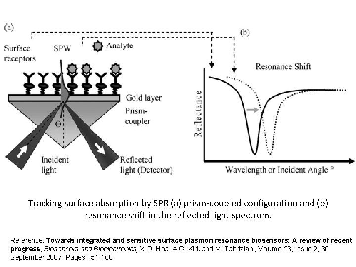 Tracking surface absorption by SPR (a) prism-coupled configuration and (b) resonance shift in the