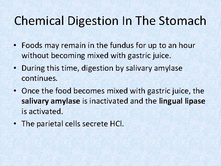 Chemical Digestion In The Stomach • Foods may remain in the fundus for up