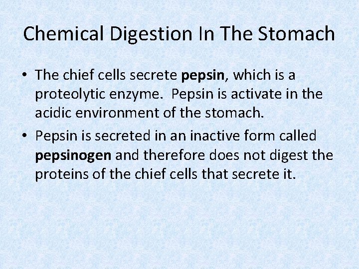 Chemical Digestion In The Stomach • The chief cells secrete pepsin, which is a