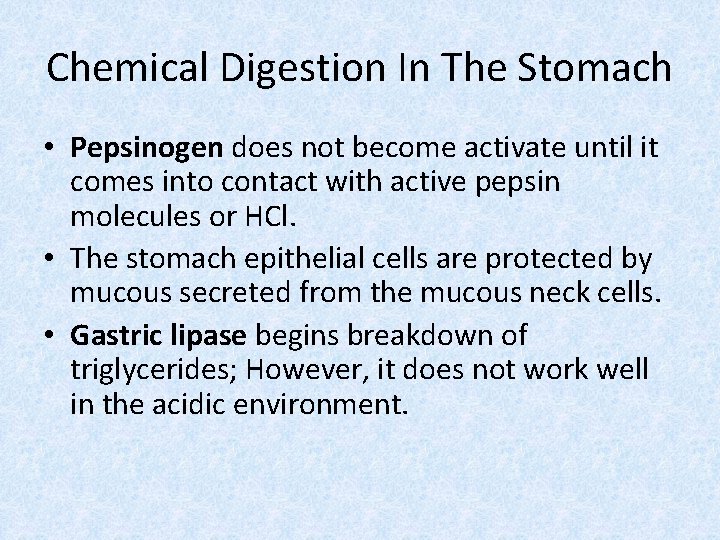 Chemical Digestion In The Stomach • Pepsinogen does not become activate until it comes