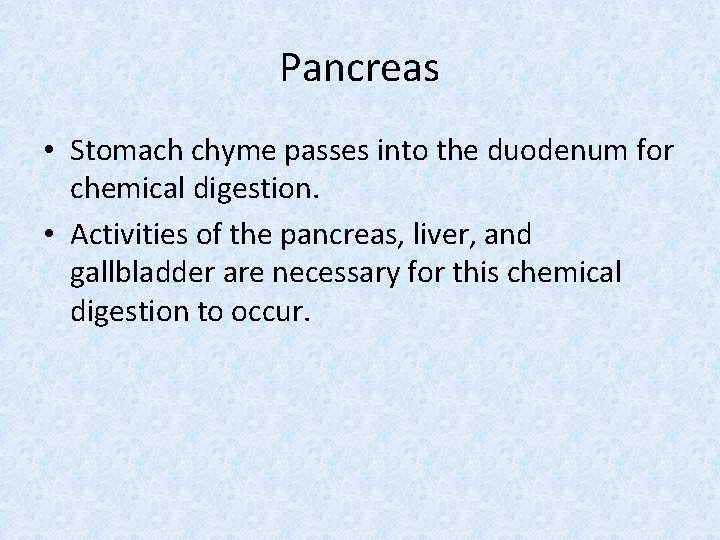 Pancreas • Stomach chyme passes into the duodenum for chemical digestion. • Activities of