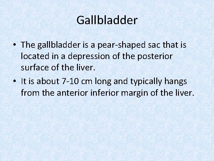 Gallbladder • The gallbladder is a pear-shaped sac that is located in a depression