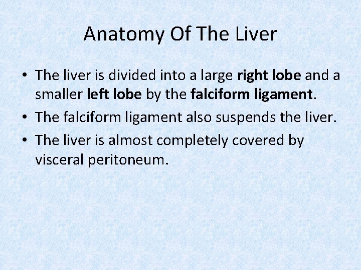 Anatomy Of The Liver • The liver is divided into a large right lobe