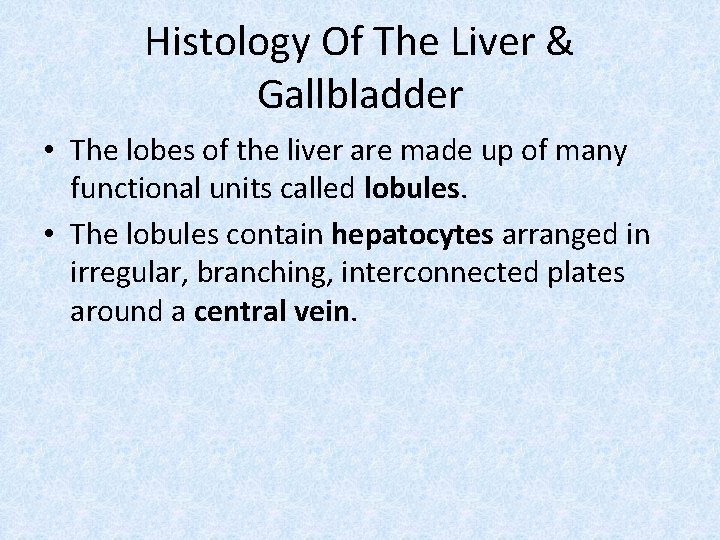 Histology Of The Liver & Gallbladder • The lobes of the liver are made