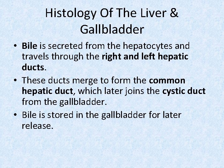 Histology Of The Liver & Gallbladder • Bile is secreted from the hepatocytes and