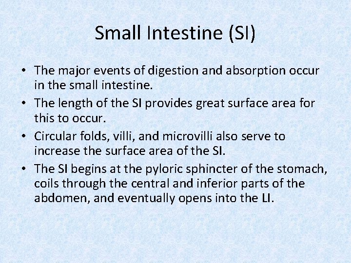 Small Intestine (SI) • The major events of digestion and absorption occur in the