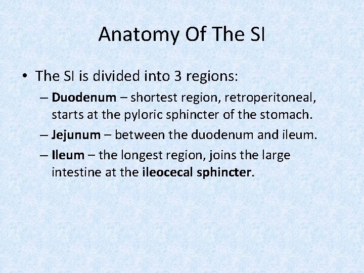 Anatomy Of The SI • The SI is divided into 3 regions: – Duodenum