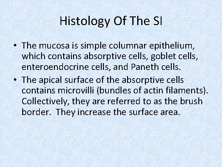 Histology Of The SI • The mucosa is simple columnar epithelium, which contains absorptive
