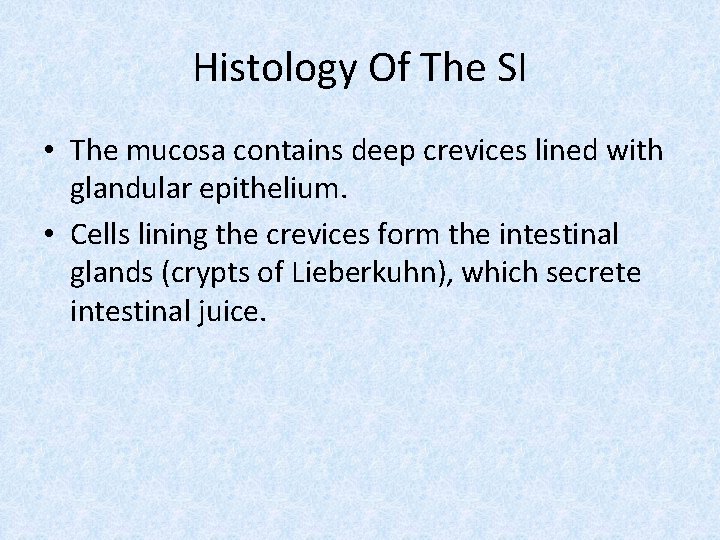 Histology Of The SI • The mucosa contains deep crevices lined with glandular epithelium.