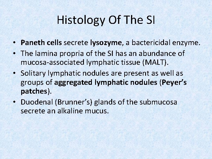 Histology Of The SI • Paneth cells secrete lysozyme, a bactericidal enzyme. • The