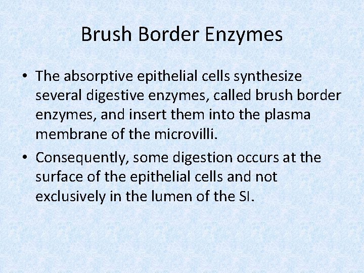 Brush Border Enzymes • The absorptive epithelial cells synthesize several digestive enzymes, called brush