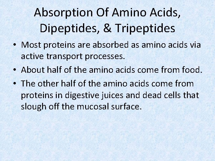 Absorption Of Amino Acids, Dipeptides, & Tripeptides • Most proteins are absorbed as amino