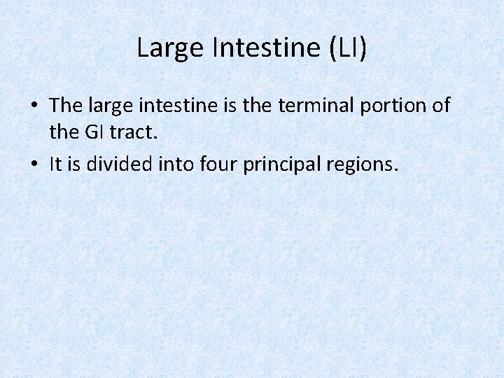 Large Intestine (LI) • The large intestine is the terminal portion of the GI