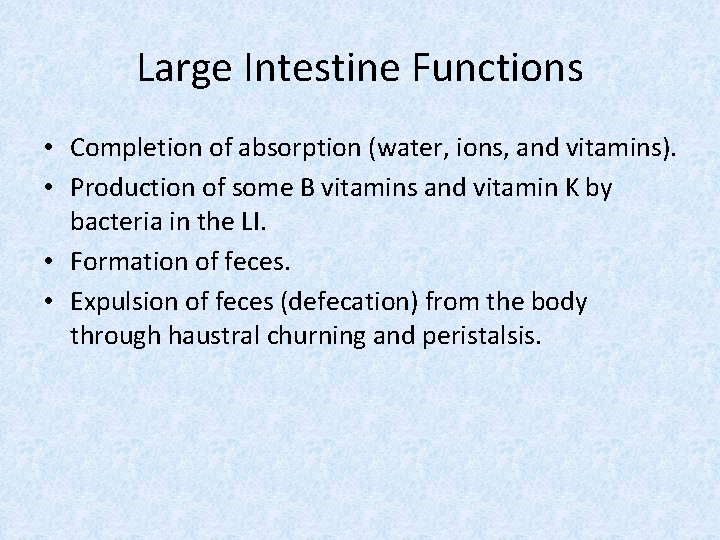 Large Intestine Functions • Completion of absorption (water, ions, and vitamins). • Production of